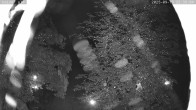 Archiv Foto Webcam Kaiseralm Breitenberg 21:00