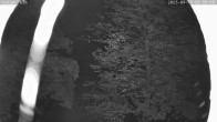 Archived image Breitenberg - Webcam at Kaiseralm 23:00