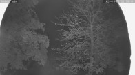 Archiv Foto Webcam Kaiseralm Breitenberg 23:00