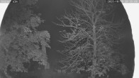 Archiv Foto Webcam Kaiseralm Breitenberg 19:00