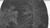 Archiv Foto Webcam Kaiseralm Breitenberg 21:00
