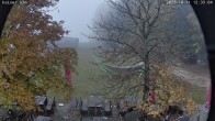 Archiv Foto Webcam Kaiseralm Breitenberg 11:00