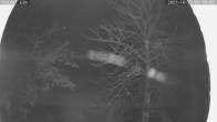 Archiv Foto Webcam Kaiseralm Breitenberg 23:00