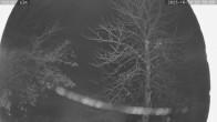 Archiv Foto Webcam Kaiseralm Breitenberg 23:00