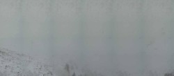 Archived image Webcam Kitzbüheler Hornköpfl - Tyrol 09:00