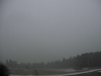 Archiv Foto Webcam Sicht vom Dorf Hofern auf Kiens im Pustertal 15:00