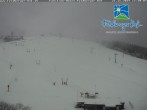 Archiv Foto Webcam am Feldberger Hof 11:00