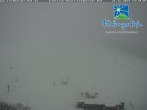 Archived image Webcam Feldberger Hof 13:00