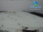 Archived image Webcam Feldberger Hof 09:00