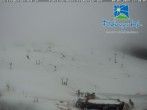 Archived image Webcam Feldberger Hof 11:00