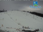 Archived image Webcam Feldberger Hof 11:00