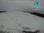 Archived image Webcam Feldberger Hof 13:00