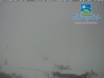 Archived image Webcam Feldberger Hof 15:00