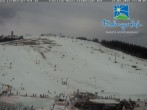 Archiv Foto Webcam am Feldberger Hof 11:00