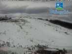 Archiv Foto Webcam am Feldberger Hof 13:00