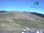 Archiv Foto Webcam am Feldberger Hof 09:00