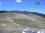 Archiv Foto Webcam am Feldberger Hof 11:00