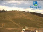 Archiv Foto Webcam am Feldberger Hof 11:00