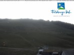 Archiv Foto Webcam am Feldberger Hof 19:00