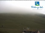 Archiv Foto Webcam am Feldberger Hof 06:00