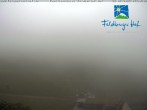Archived image Webcam Feldberger Hof 06:00