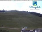 Archiv Foto Webcam am Feldberger Hof 11:00
