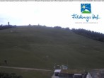 Archiv Foto Webcam am Feldberger Hof 17:00