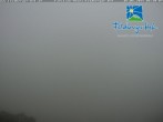 Archived image Webcam Feldberger Hof 05:00