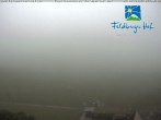 Archived image Webcam Feldberger Hof 06:00