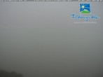 Archived image Webcam Feldberger Hof 07:00