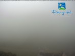Archived image Webcam Feldberger Hof 11:00