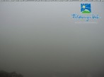 Archiv Foto Webcam am Feldberger Hof 05:00