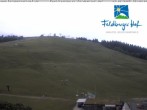 Archiv Foto Webcam am Feldberger Hof 11:00