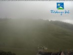 Archiv Foto Webcam am Feldberger Hof 05:00
