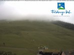 Archiv Foto Webcam am Feldberger Hof 07:00