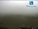 Archiv Foto Webcam am Feldberger Hof 11:00