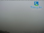 Archiv Foto Webcam am Feldberger Hof 05:00