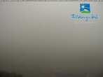 Archiv Foto Webcam am Feldberger Hof 06:00