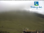 Archiv Foto Webcam am Feldberger Hof 11:00