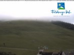 Archived image Webcam Feldberger Hof 17:00