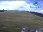 Archived image Webcam Feldberger Hof 11:00