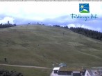 Archiv Foto Webcam am Feldberger Hof 13:00