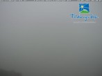 Archiv Foto Webcam am Feldberger Hof 05:00