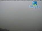 Archiv Foto Webcam am Feldberger Hof 06:00