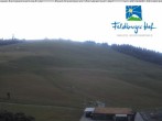 Archived image Webcam Feldberger Hof 11:00