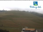 Archiv Foto Webcam am Feldberger Hof 06:00