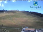 Archiv Foto Webcam am Feldberger Hof 11:00