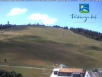 Archiv Foto Webcam am Feldberger Hof 13:00