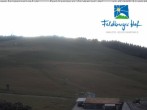 Archiv Foto Webcam am Feldberger Hof 21:00