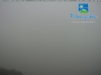 Archiv Foto Webcam am Feldberger Hof 05:00
